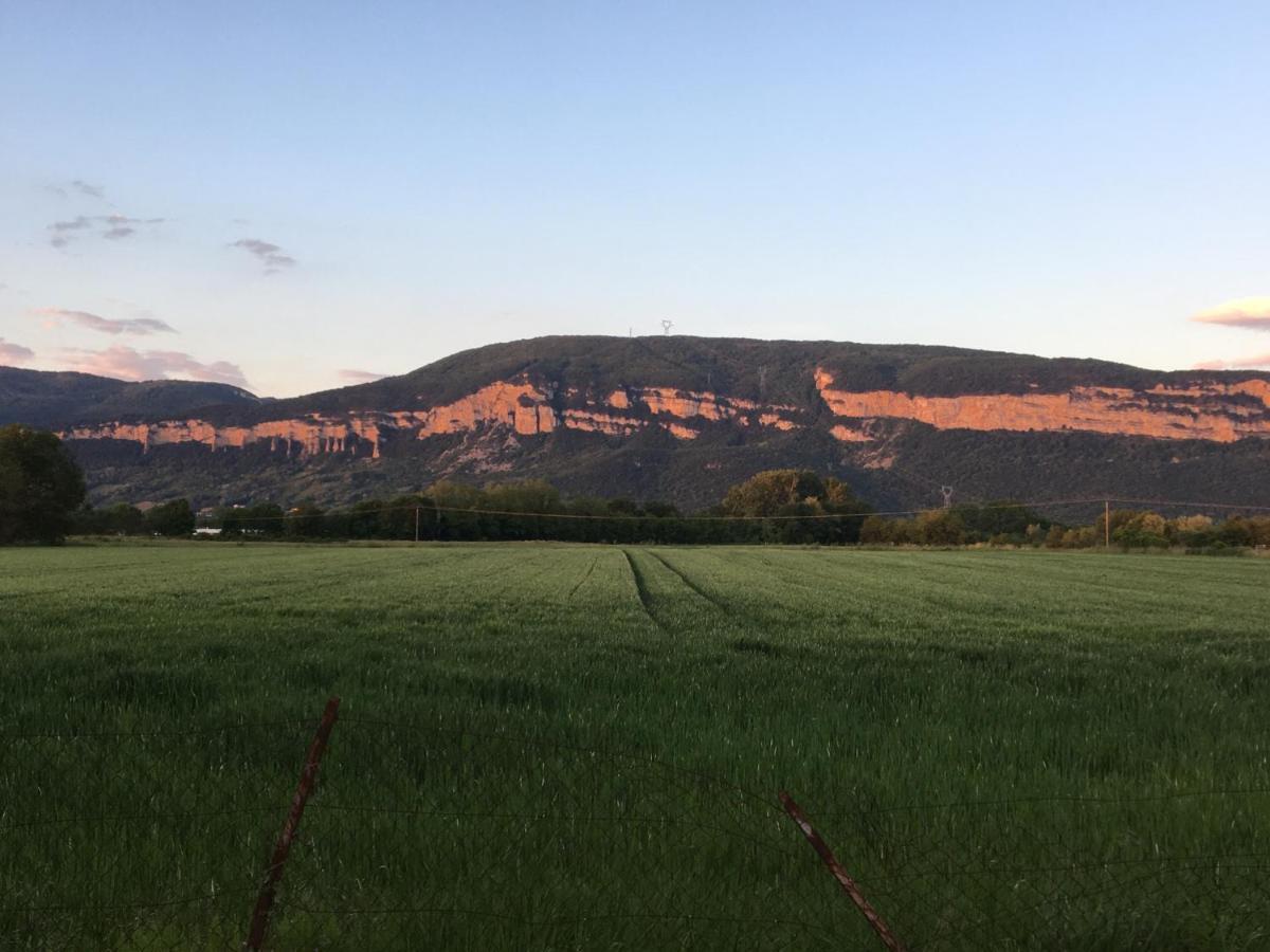 Montalieu Sejour 2 Maisons, Les Tulipes Ou Les Bambous Luaran gambar